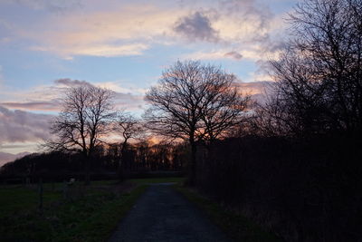 Bare trees on landscape at sunset