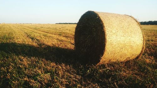 Hay bales on field against clear sky