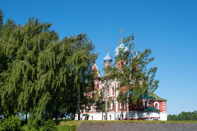 Trees and plants outside house against sky