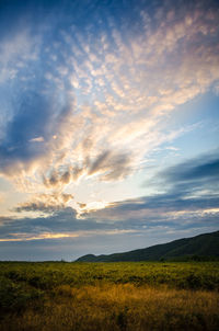Scenic view of field against sky during sunset