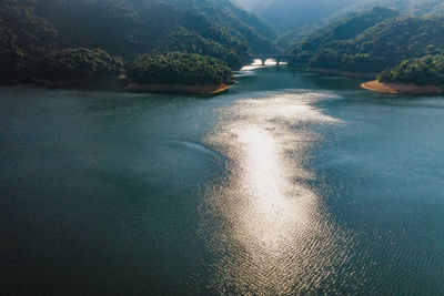 Scenic view of river in forest