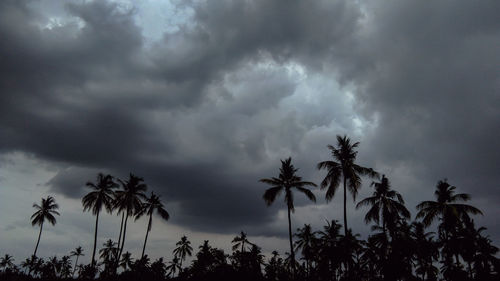 Low angle view of silhouette palm trees against sky