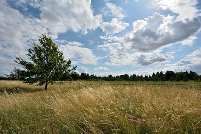 Scenic view of field against cloudy sky