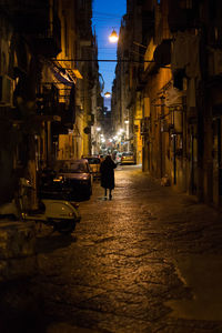 Rear view of people walking on street in city at night