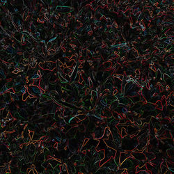 Grass growing on field