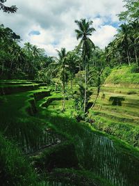 Scenic view of landscape against cloudy sky