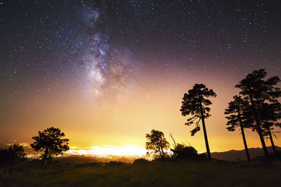 Low angle view of silhouette trees against sky at night