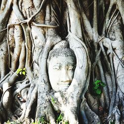 Statue of statues on tree trunk