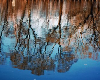 Reflection of trees in lake during winter