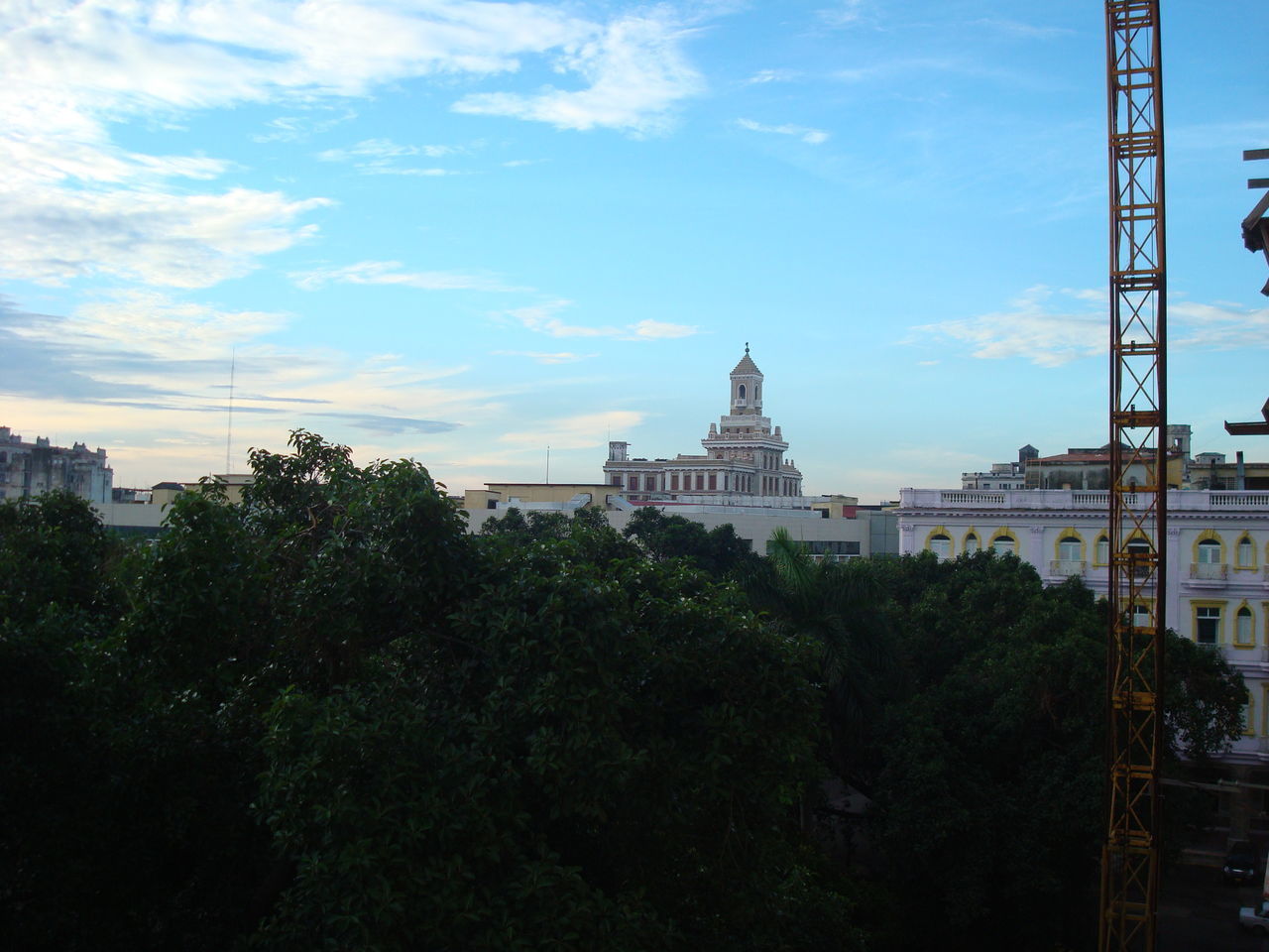 TREES AND BUILDINGS IN CITY