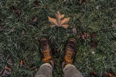 Low section of man standing on grass