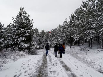 Rear view of people walking in snow during winter