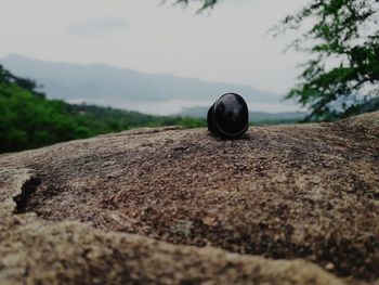 Close-up of stone on rock