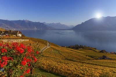 Lavaux region by autumn day, vaud, switzerland