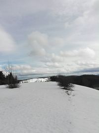 Bare trees on snow covered landscape against sky