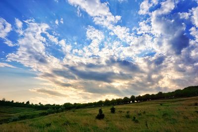 Scenic view of field against sky during sunset