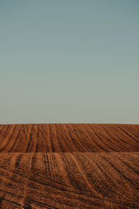 Scenic view of field against clear sky