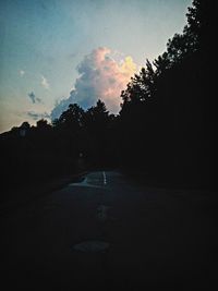 Road along trees