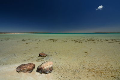 Little lagoon. denham, shark bay. western australia