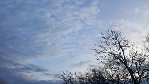 Low angle view of bare tree against sky