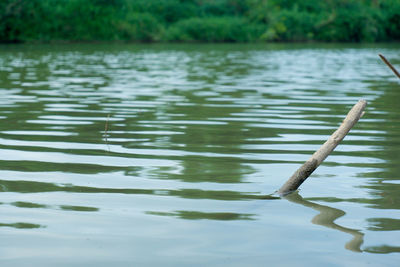 Scenic view of lake