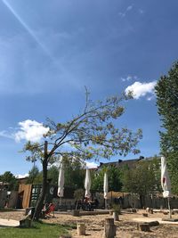 Trees against sky