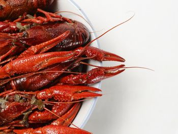 Close-up of red chili over white background