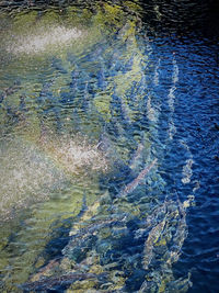 Full frame shot of lake