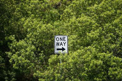 Information sign by trees