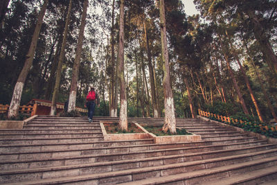 Rear view of man standing on staircase in forest