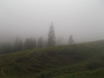 Scenic view of landscape in foggy weather