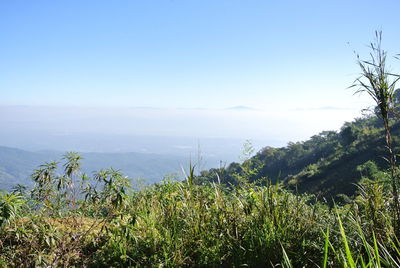 Scenic view of sea against clear sky