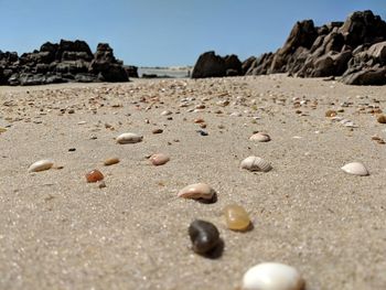 Surface level of sand on beach against clear sky