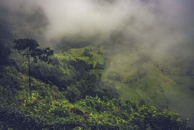 Dark rice paddy valley under the clouds
