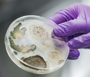 Bioscience research in a laboratory