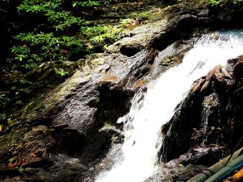 Scenic view of waterfall in forest