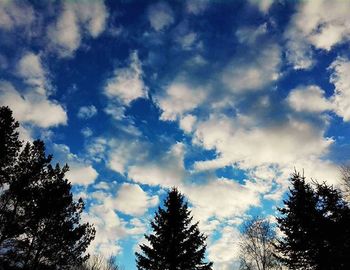 Low angle view of trees against cloudy sky