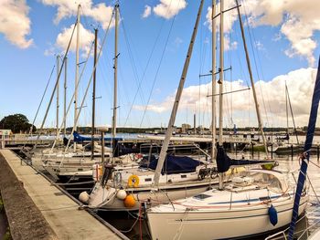 Sailboats moored in harbor