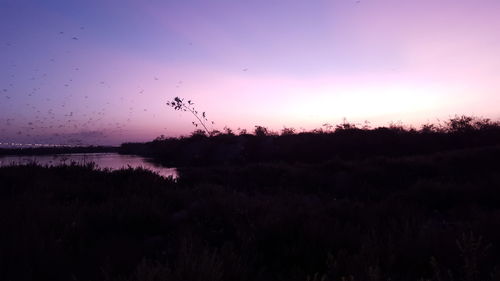 Scenic view of silhouette trees against sky at dusk