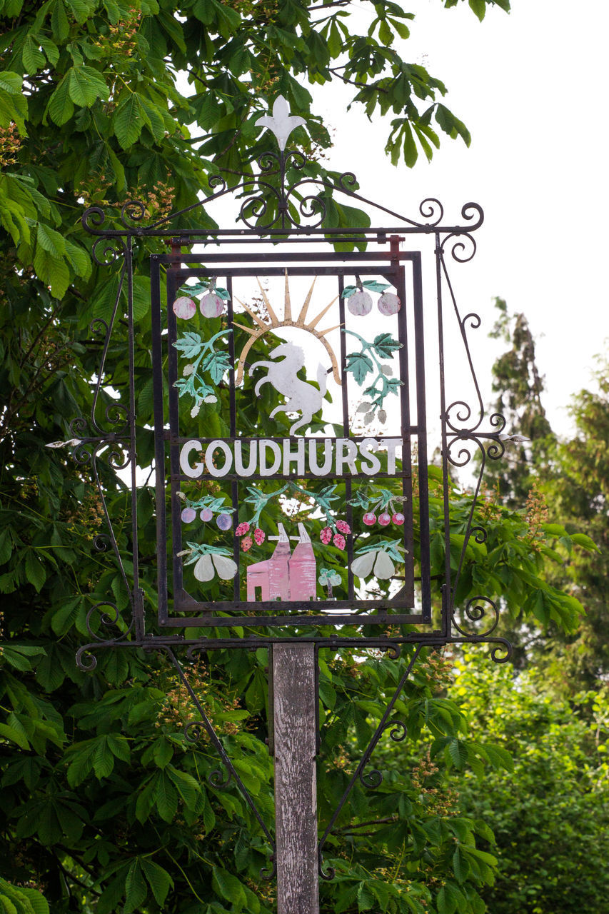 LOW ANGLE VIEW OF SIGN ON TREE AGAINST SKY