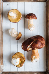 From above tasty fragrant forest mushrooms with brown head on wooden desk in bright day