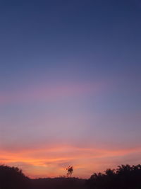 Low angle view of silhouette trees against sky during sunset