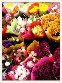 Full frame shot of pink flowers