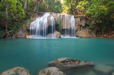 Scenic view of waterfall in forest