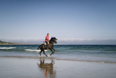 Male in casual clothes riding black horse on wet beach near sea waves against blue sky in summer