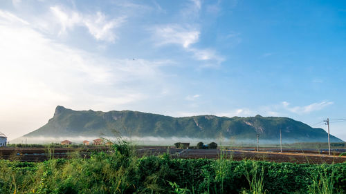 Scenic view of field against sky