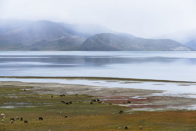 Scenic view of lake and mountains