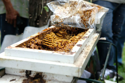 Close-up of bee on table