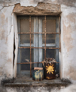Old metal cans used as plant vase on abandoned home window