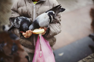 Midsection of woman holding bird